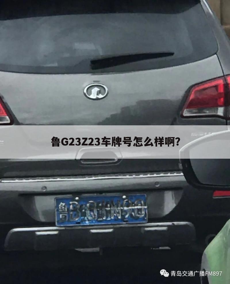 鲁G23Z23车牌号怎么样啊?