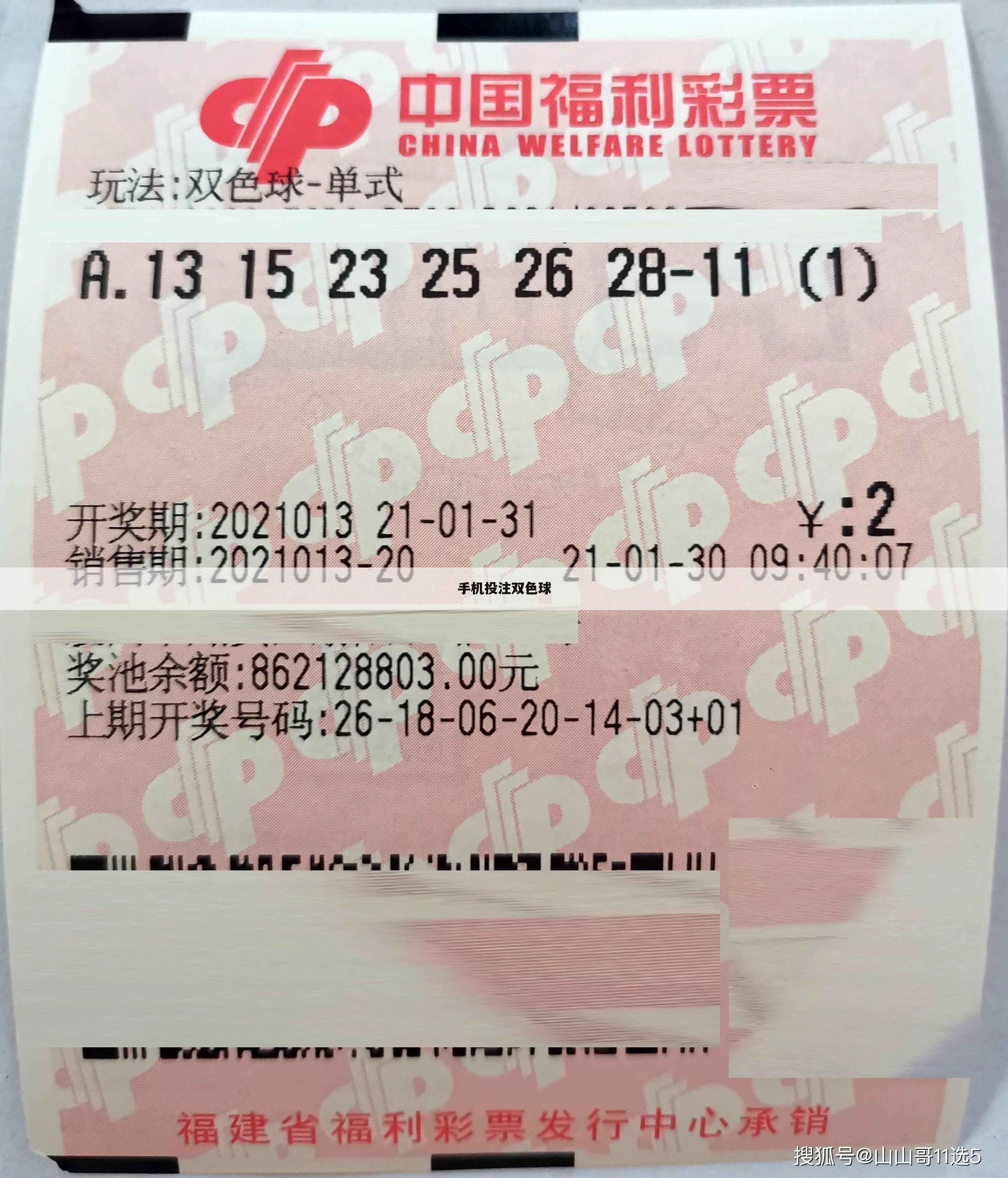 手机投注双色球