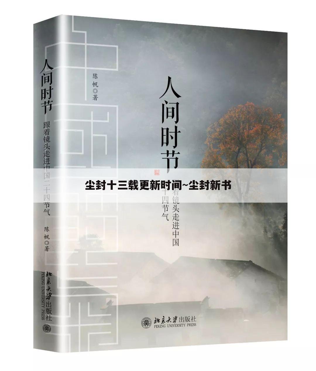尘封十三载更新时间~尘封新书
