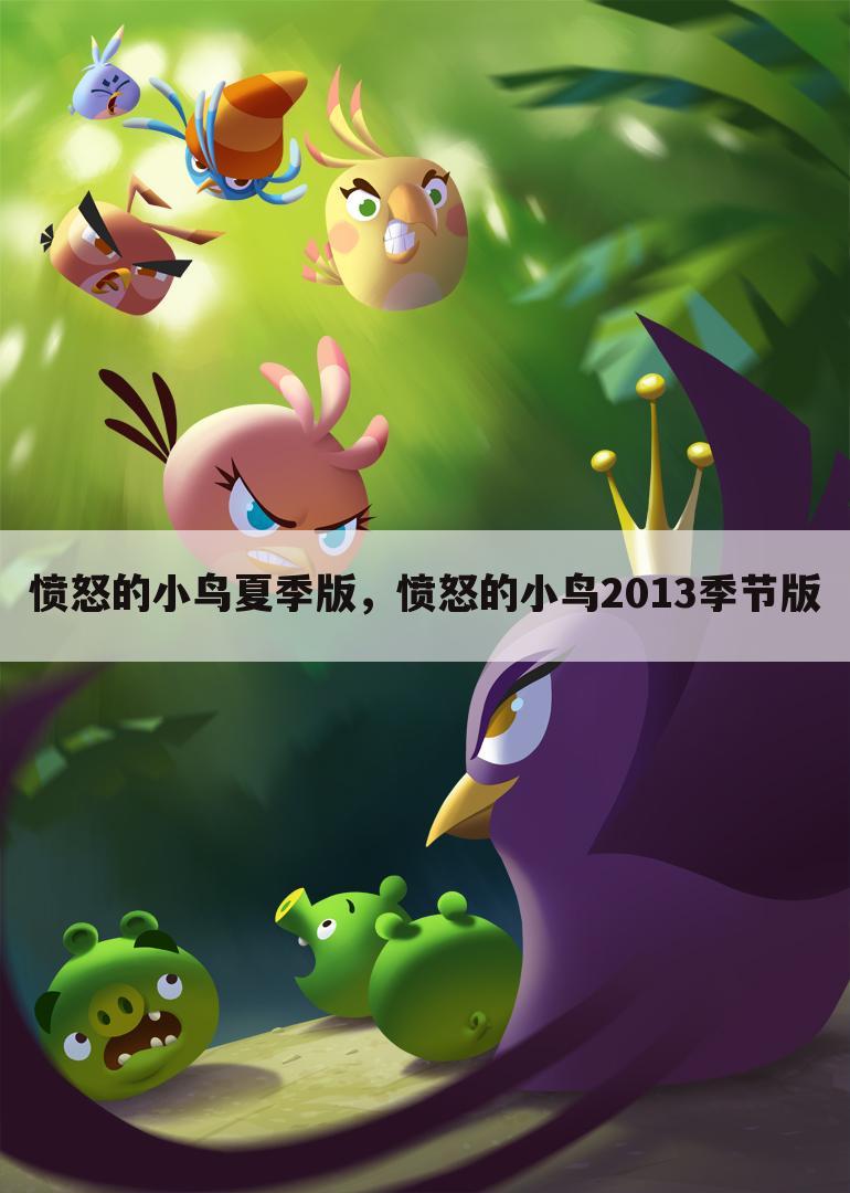 愤怒的小鸟夏季版，愤怒的小鸟2013季节版