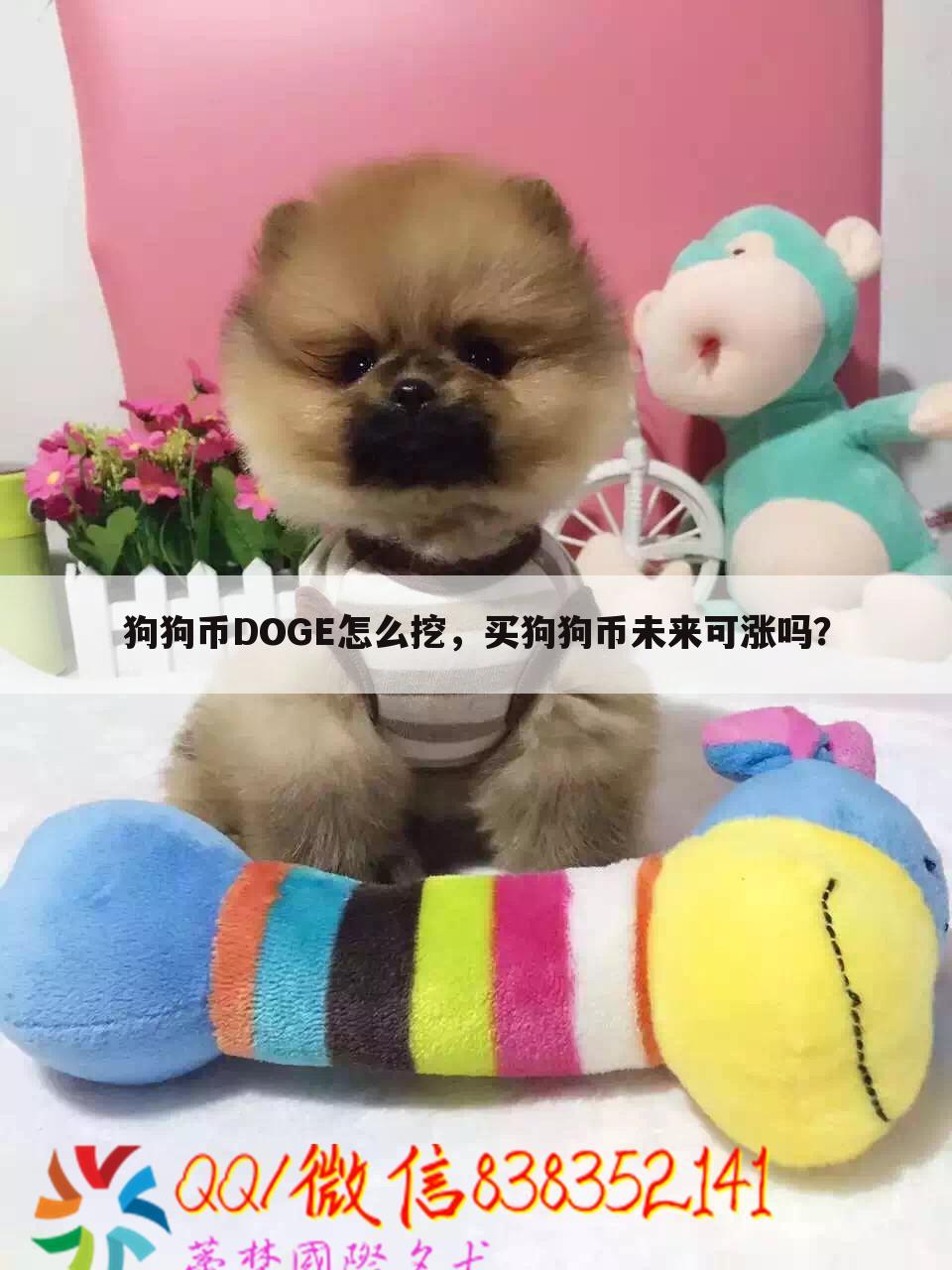 狗狗币DOGE怎么挖,买狗狗币未来可涨吗?