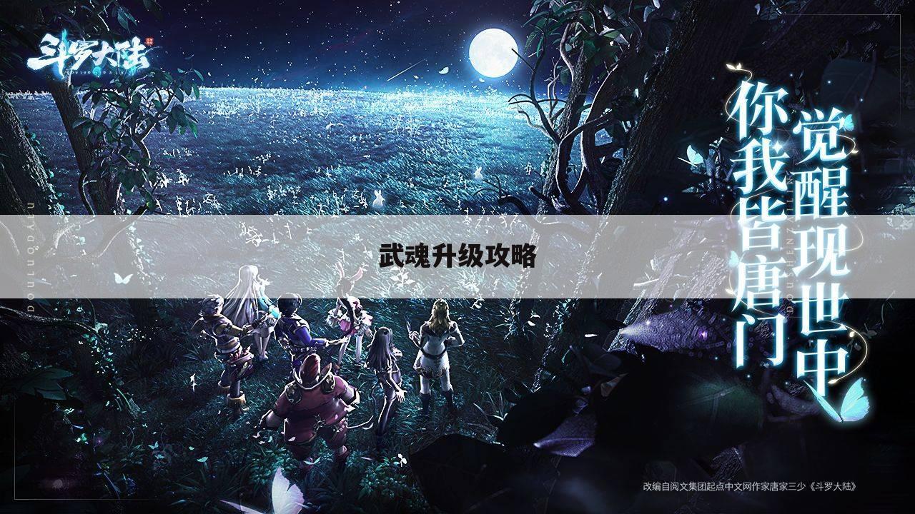 武魂升级攻略