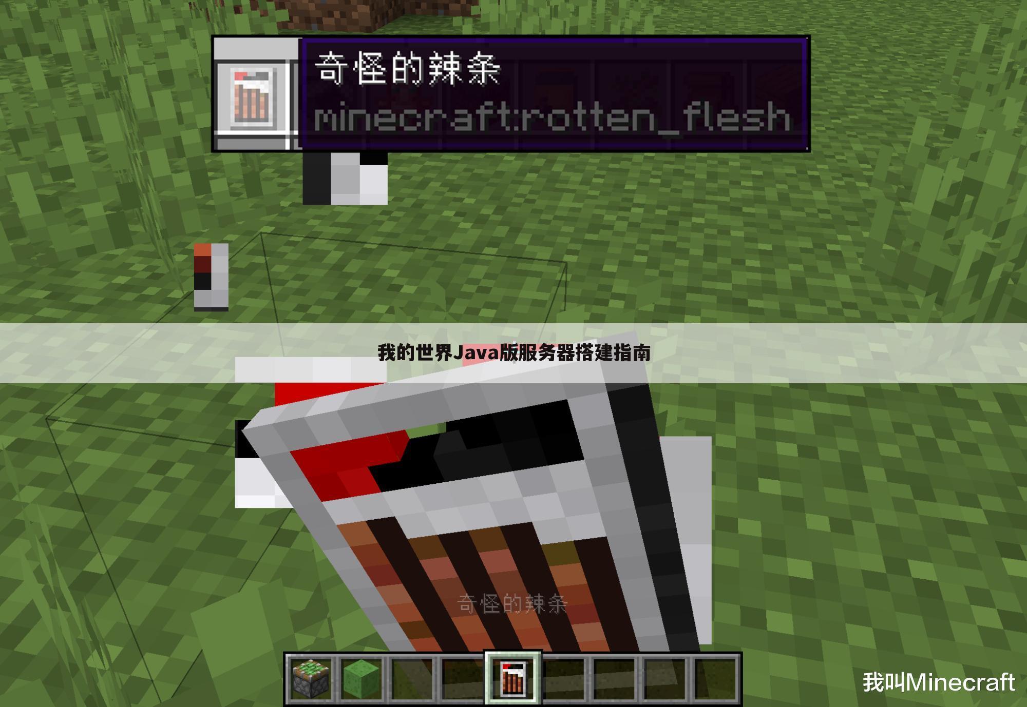 我的世界Java版服务器搭建指南