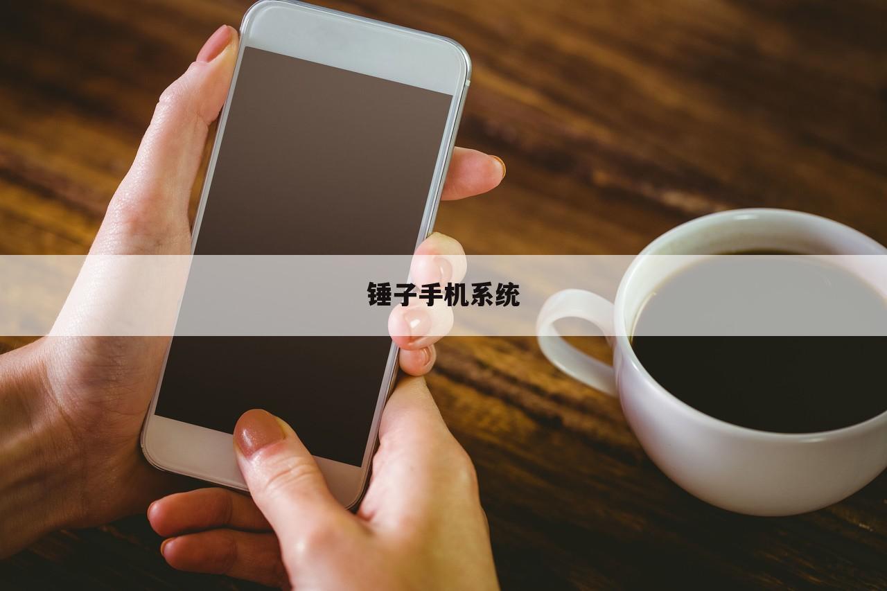 锤子手机系统