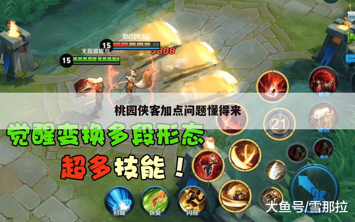 桃园侠客加点问题懂得来