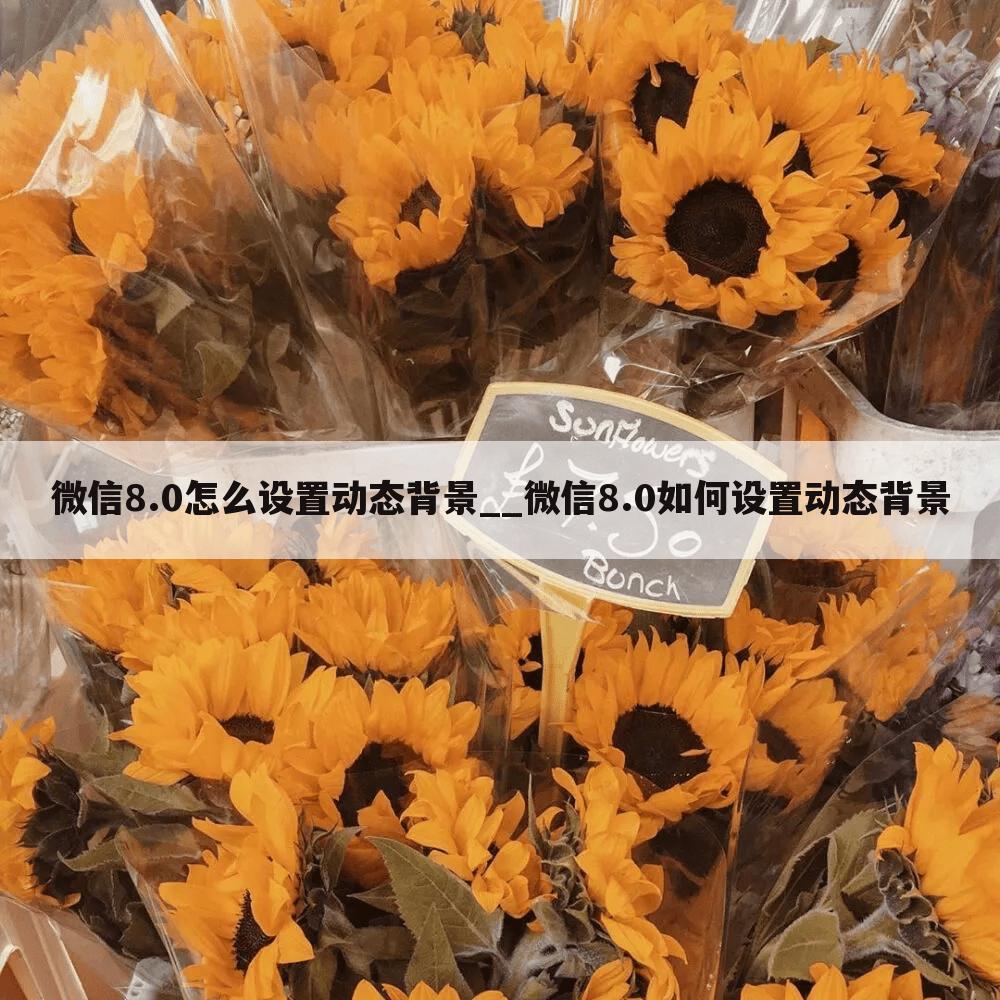 微信8.0怎么设置动态背景__微信8.0如何设置动态背景