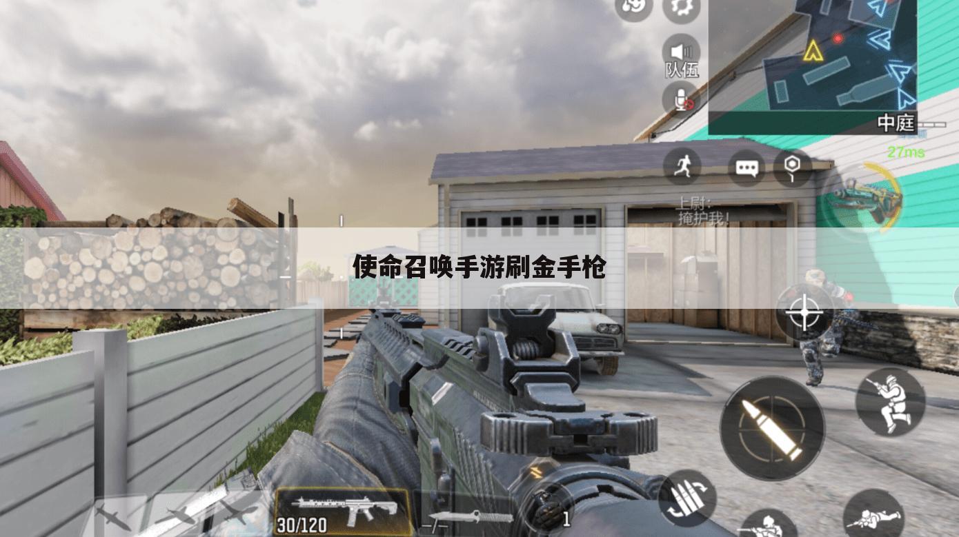 使命召唤手游刷金手枪