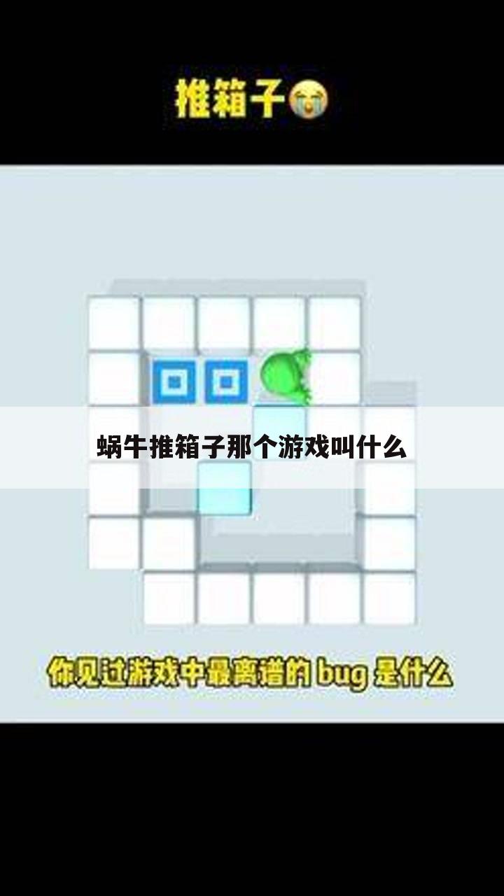 蜗牛推箱子那个游戏叫什么