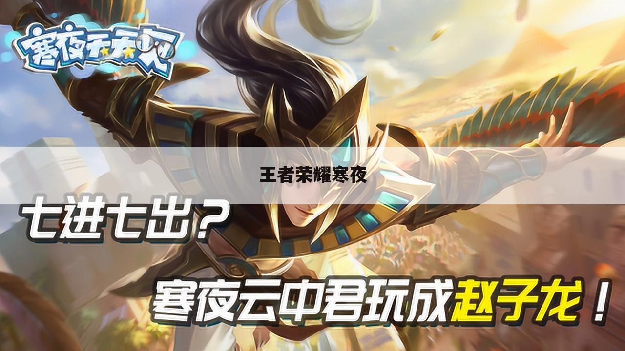 王者荣耀寒夜
