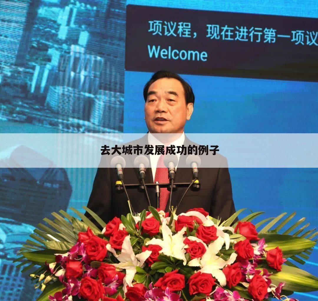 去大城市发展成功的例子