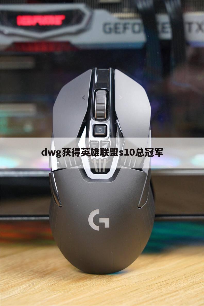 dwg获得英雄联盟s10总冠军
