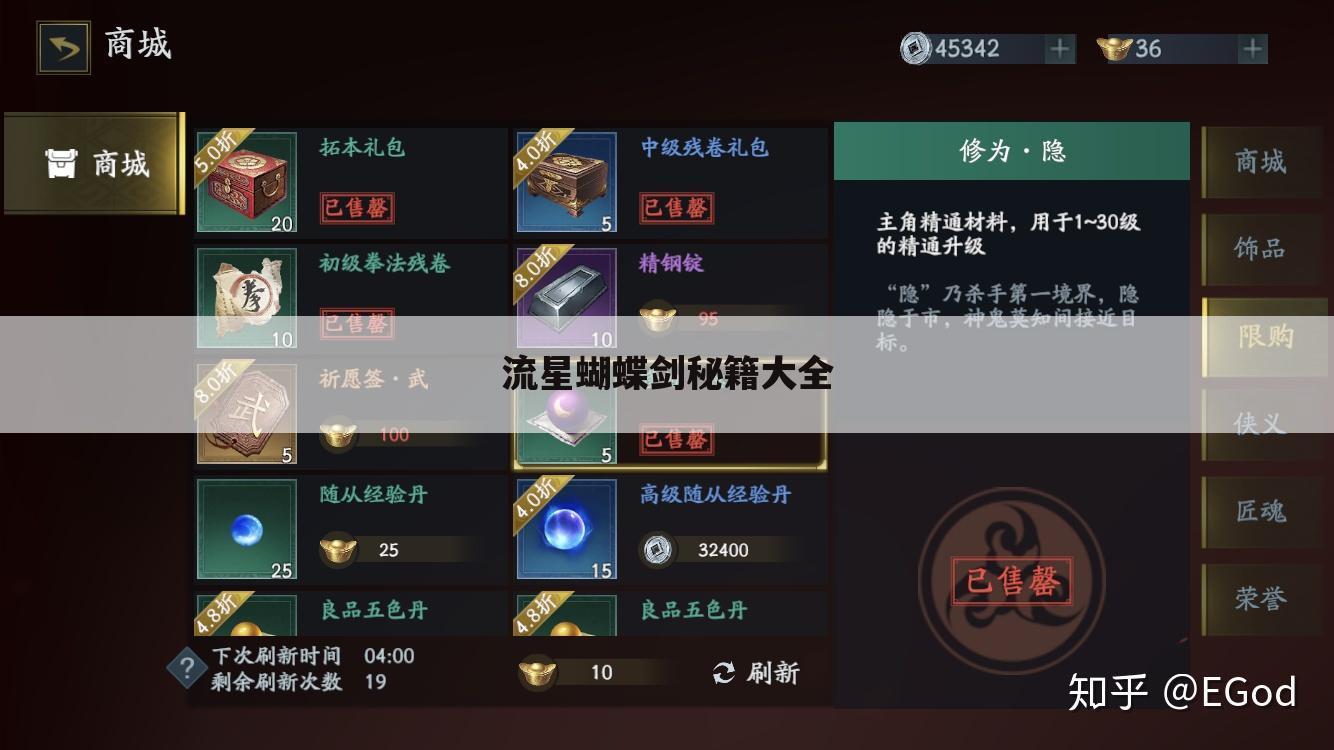 流星蝴蝶剑秘籍大全