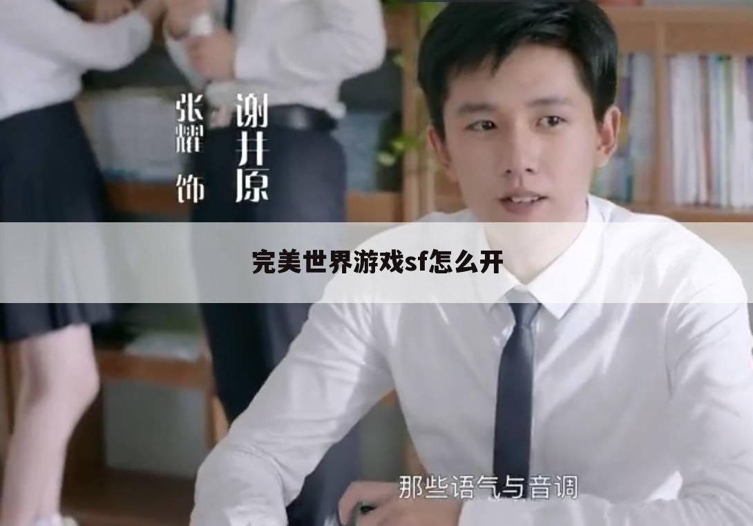 完美世界游戏sf怎么开