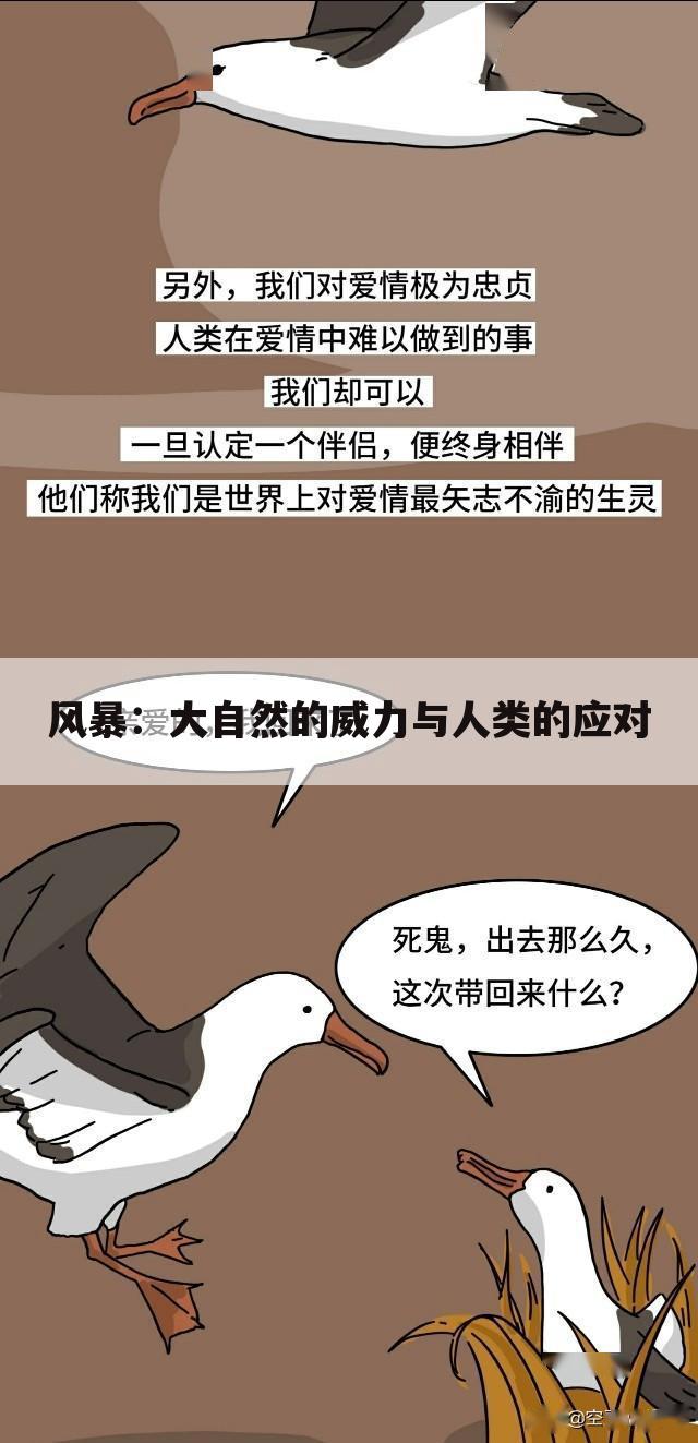 风暴：大自然的威力与人类的应对