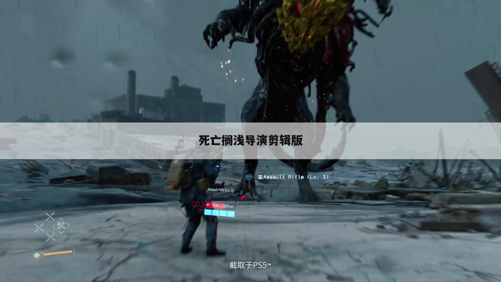 死亡搁浅导演剪辑版