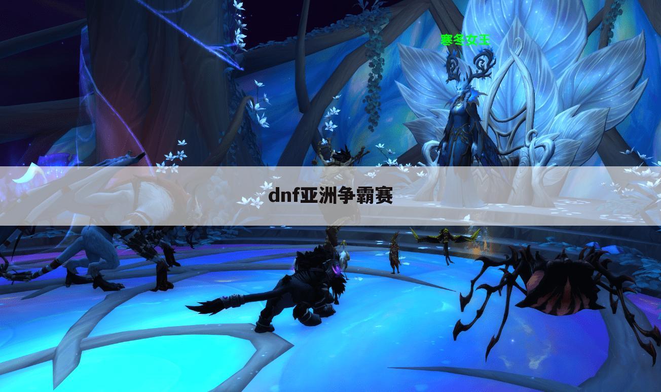 dnf亚洲争霸赛