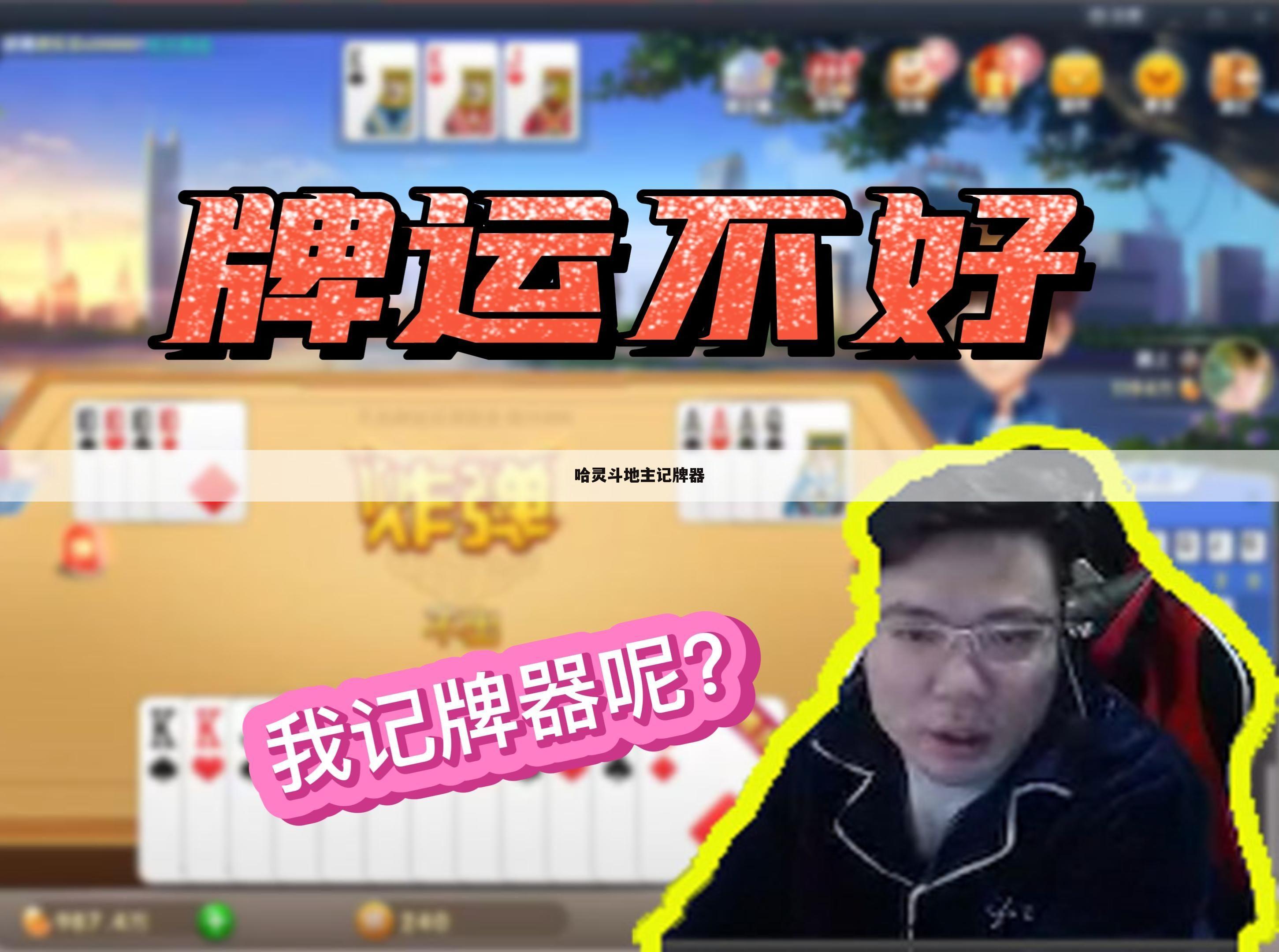 哈灵斗地主记牌器