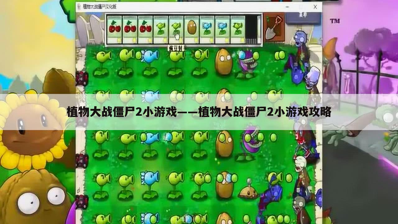 植物大战僵尸2小游戏——植物大战僵尸2小游戏攻略