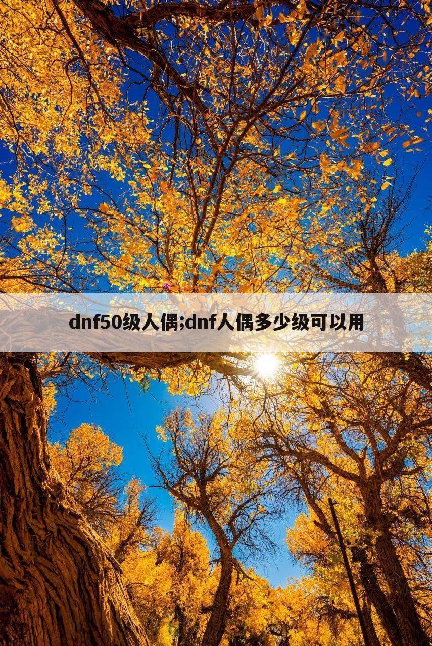 dnf50级人偶;dnf人偶多少级可以用