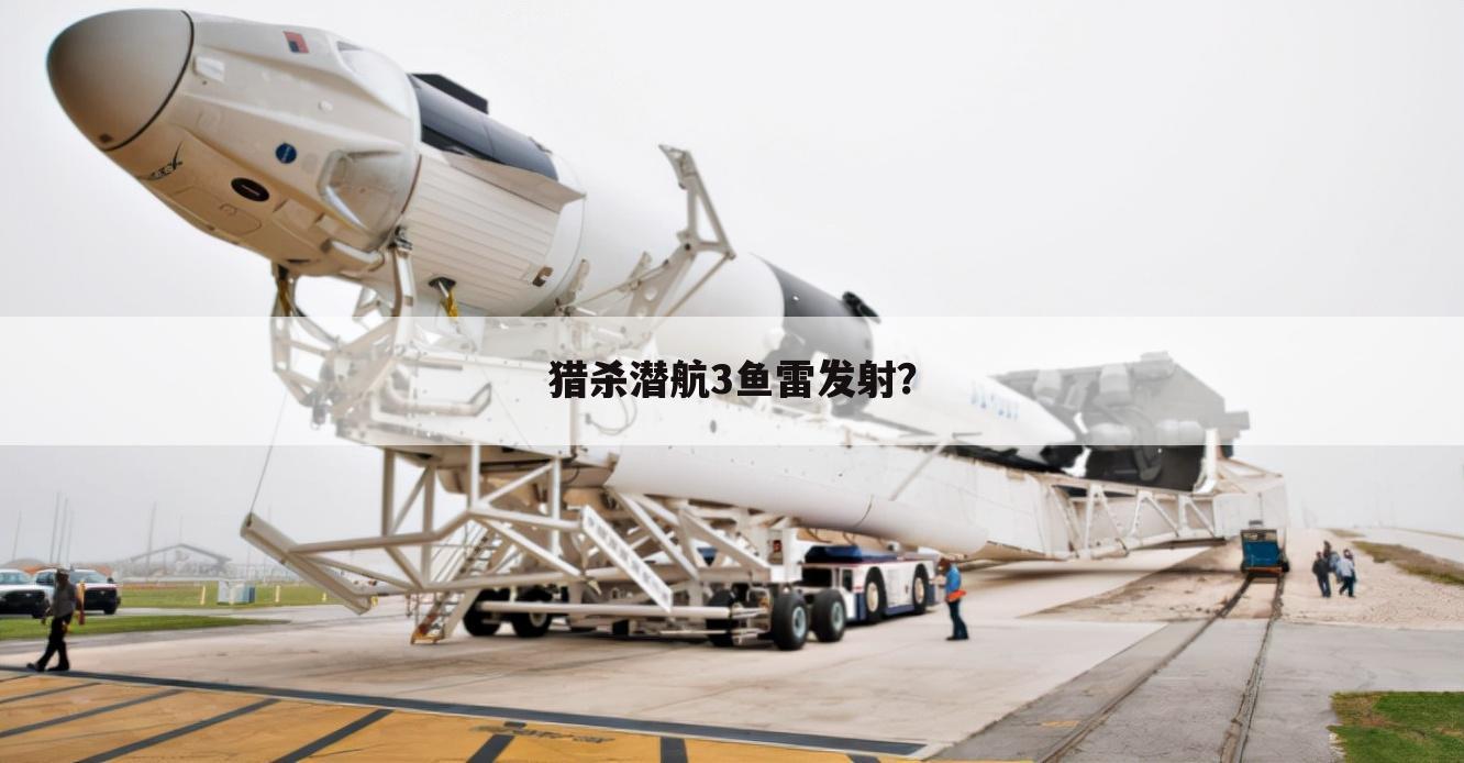 猎杀潜航3鱼雷发射?