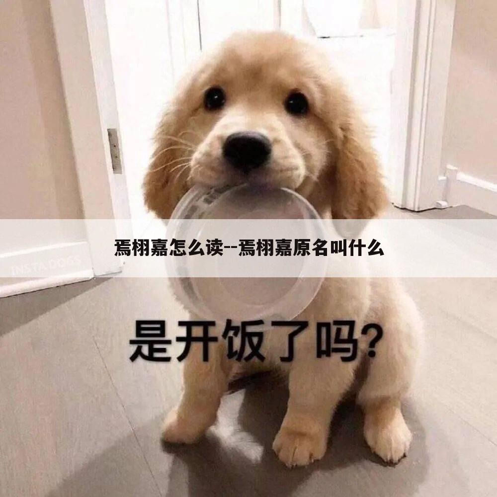焉栩嘉怎么读--焉栩嘉原名叫什么