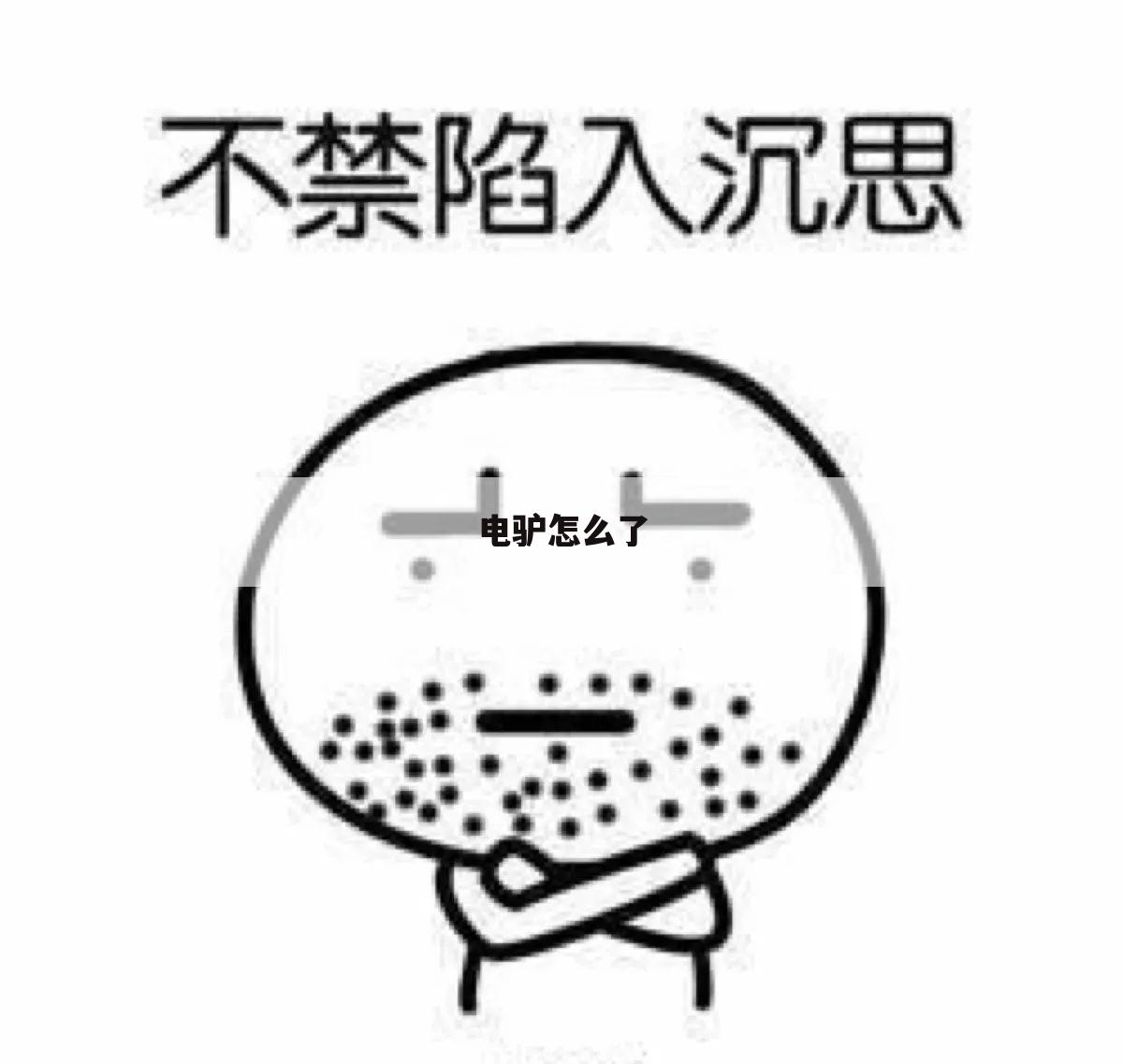 电驴怎么了