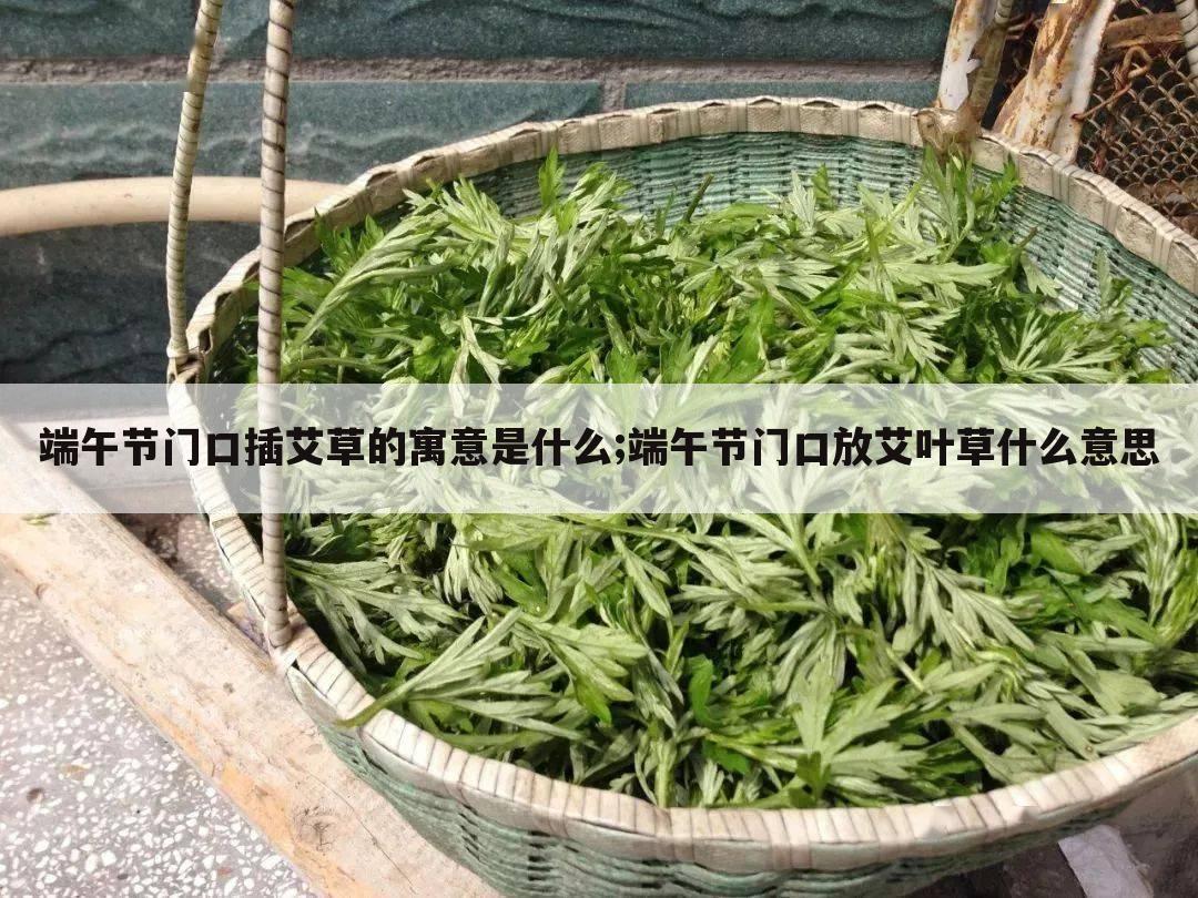 端午节门口插艾草的寓意是什么;端午节门口放艾叶草什么意思
