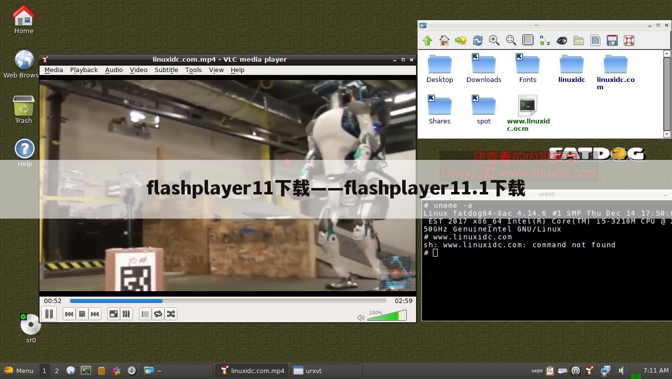 flashplayer11下载——flashplayer11.1下载