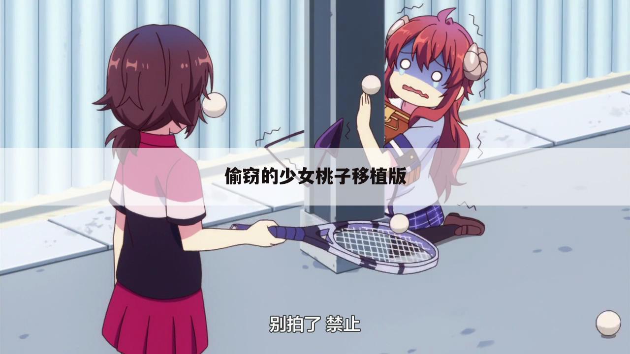 偷窃的少女桃子移植版