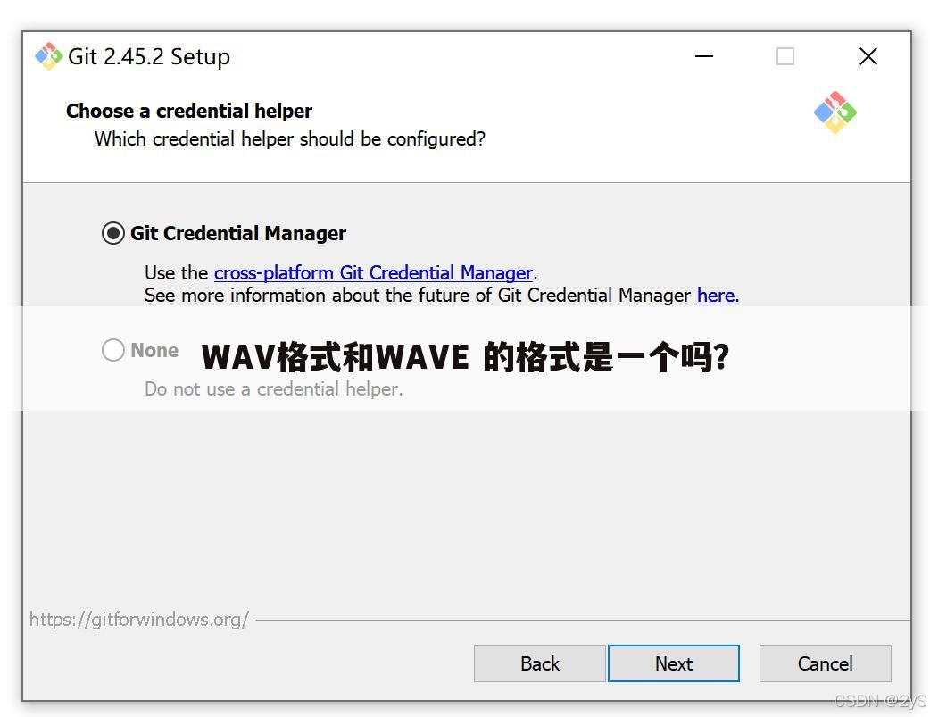 WAV格式和WAVE 的格式是一个吗？