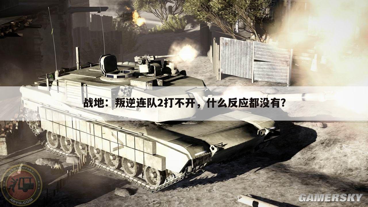 战地:叛逆连队2打不开,什么反应都没有?