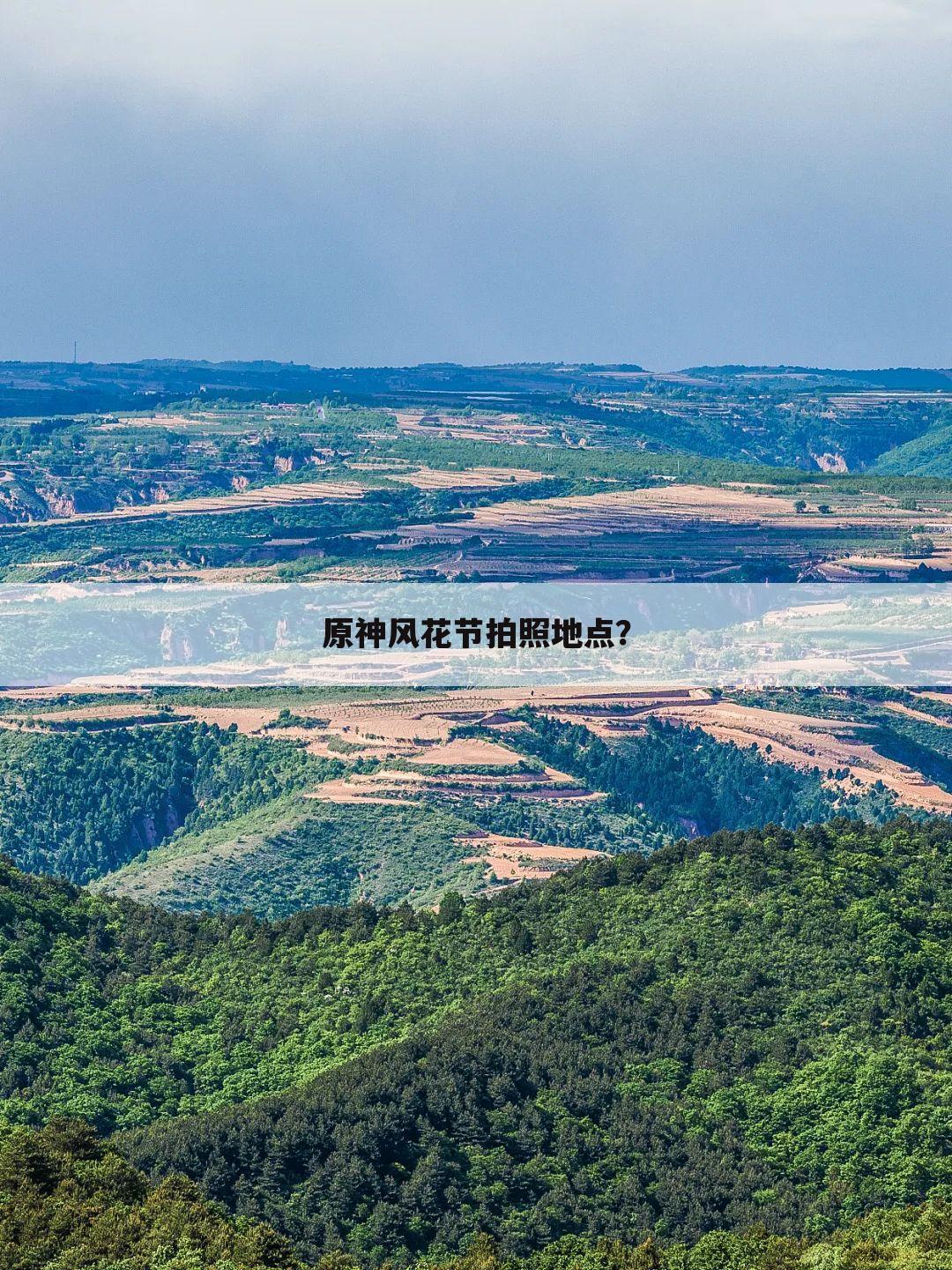 原神风花节拍照地点?
