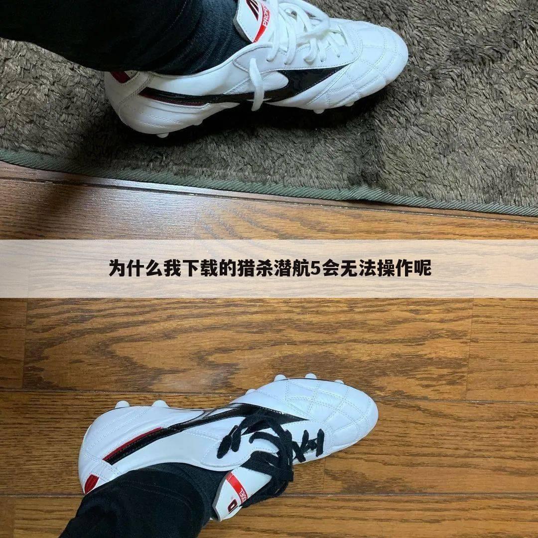 为什么我下载的猎杀潜航5会无法操作呢
