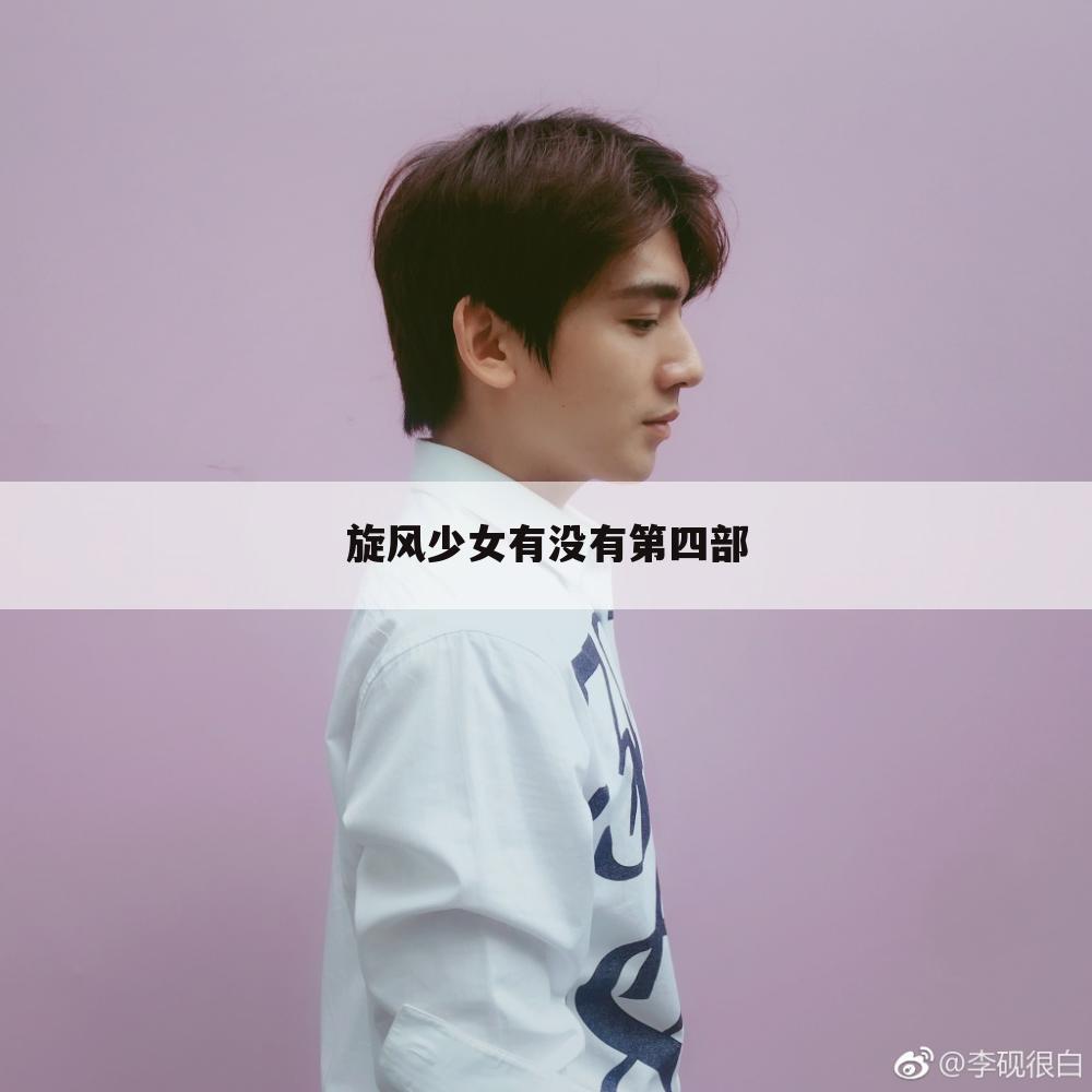 旋风少女有没有第四部