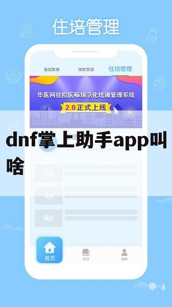 dnf掌上助手app叫啥