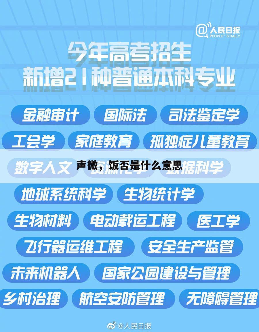 声微,饭否是什么意思