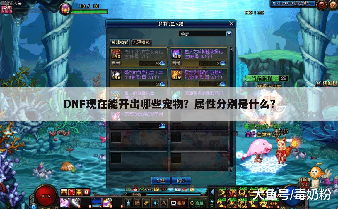 DNF现在能开出哪些宠物？属性分别是什么？