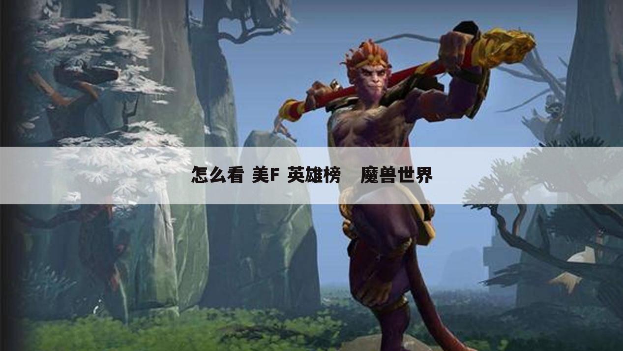 怎么看 美F 英雄榜   魔兽世界