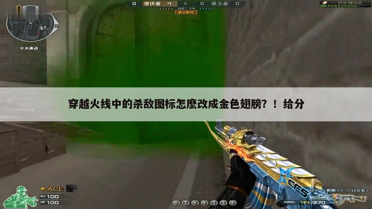 穿越火线中的杀敌图标怎麽改成金色翅膀?!给分