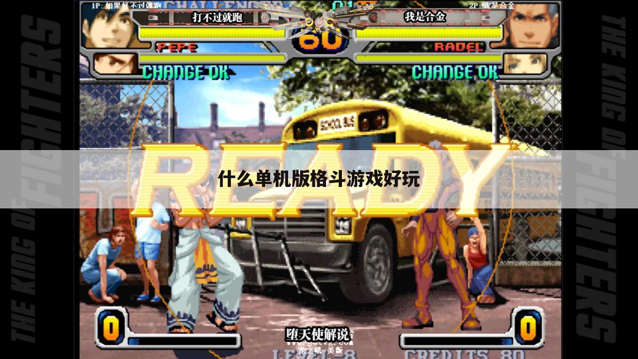 什么单机版格斗游戏好玩
