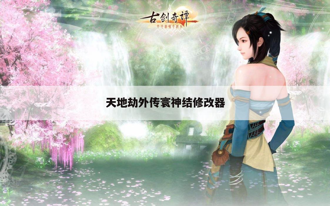 天地劫外传寰神结修改器