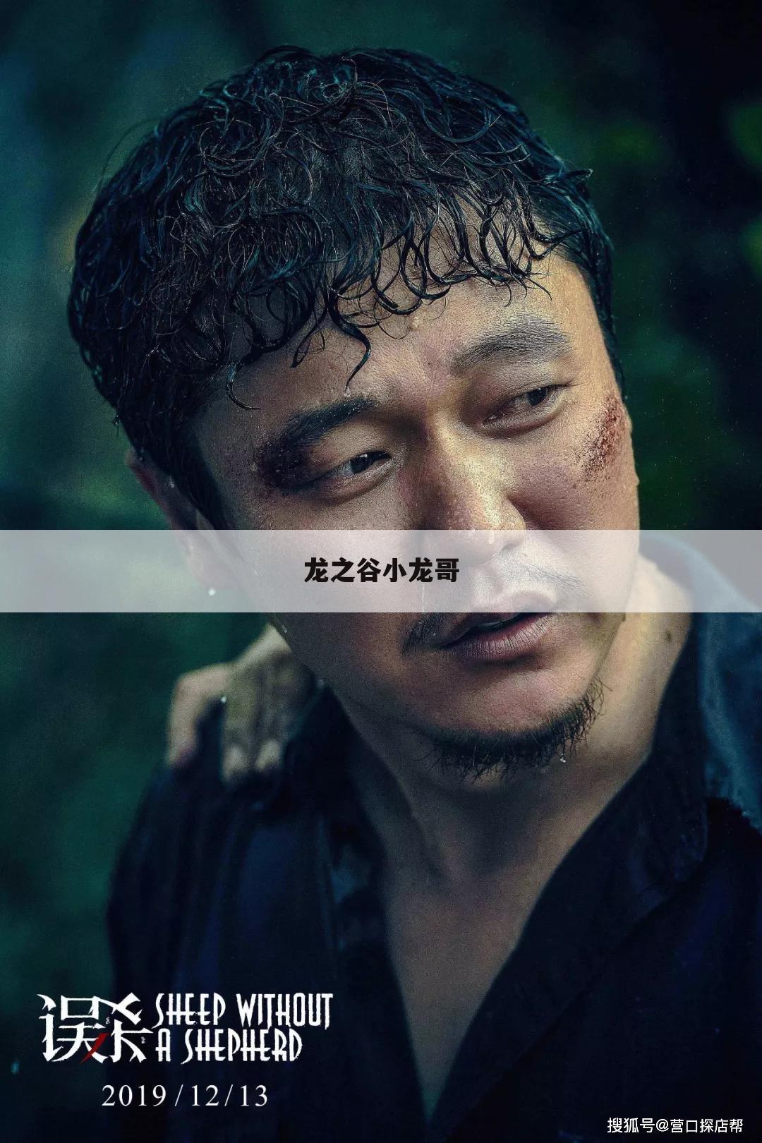 龙之谷小龙哥