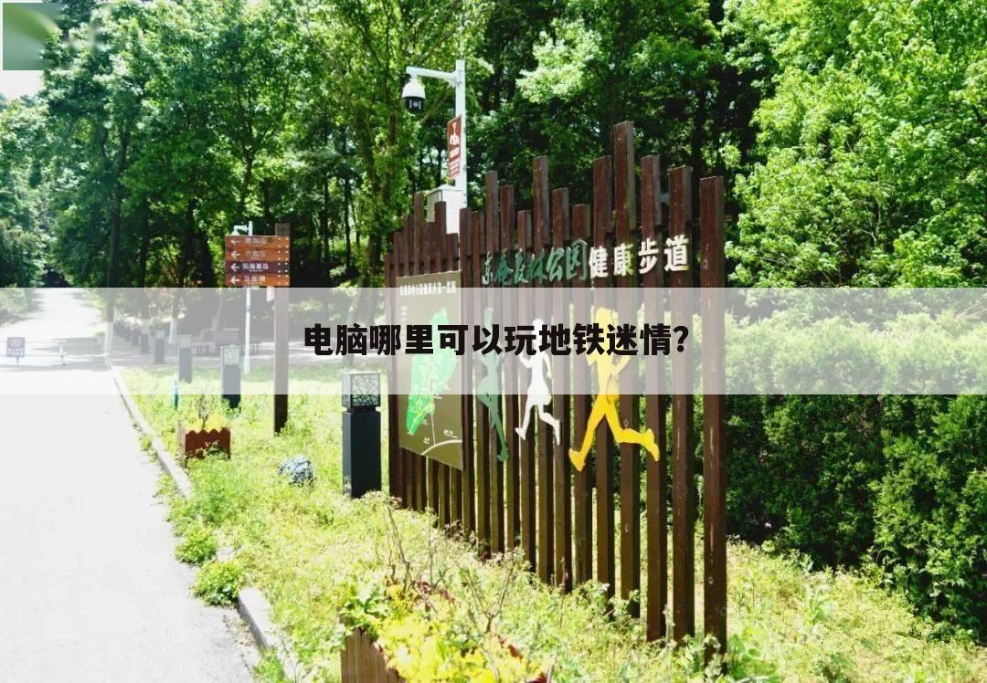 电脑哪里可以玩地铁迷情？