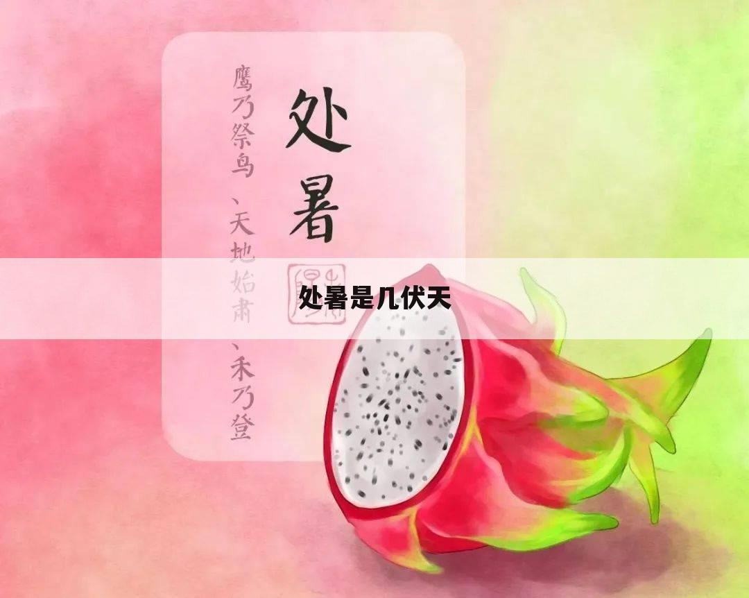 处暑是几伏天