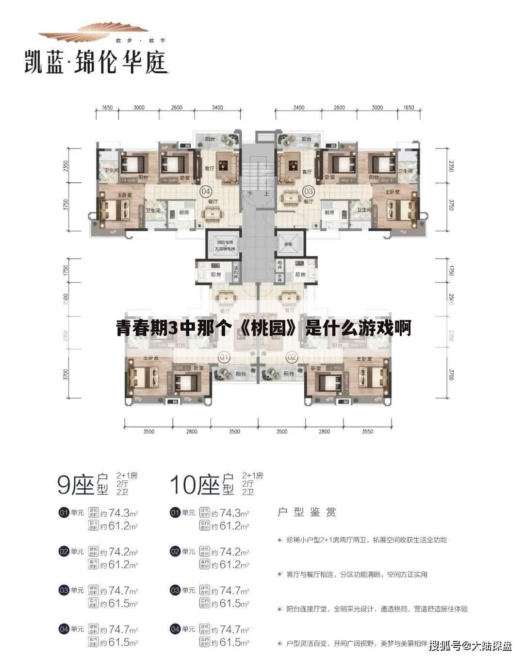 青春期3中那个《桃园》是什么游戏啊