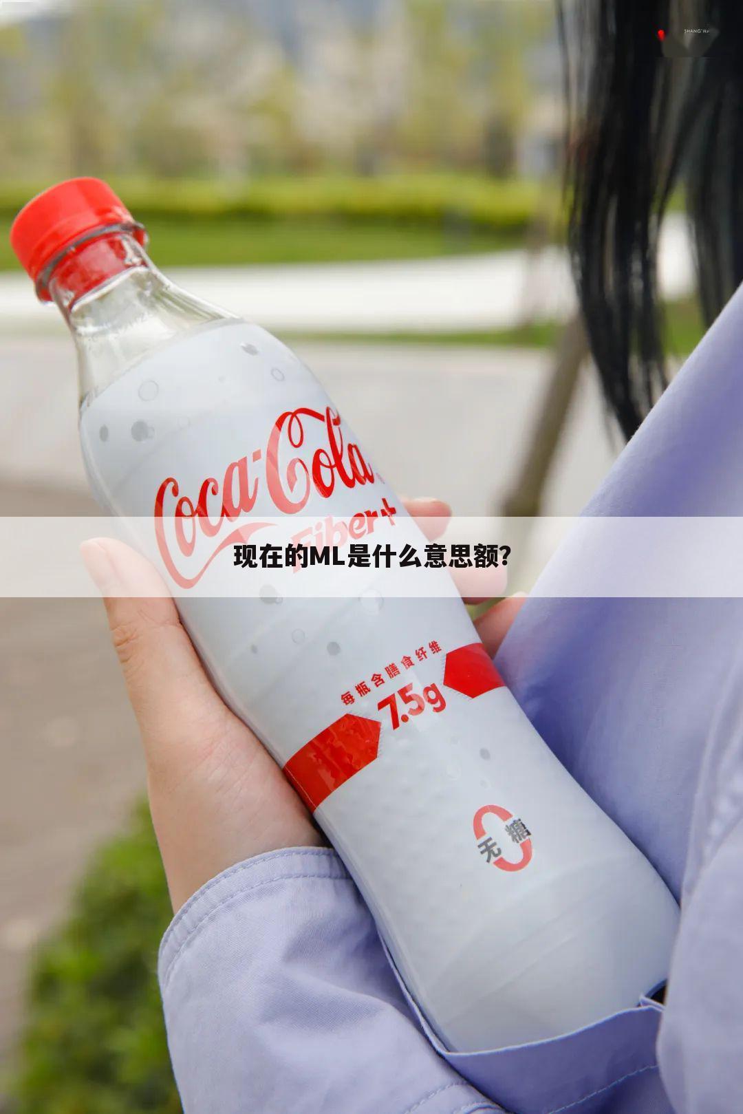 现在的ML是什么意思额?