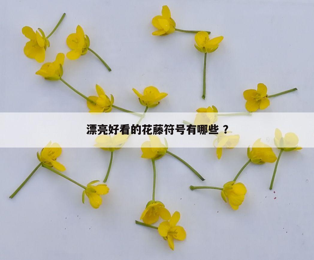 漂亮好看的花藤符号有哪些 ?