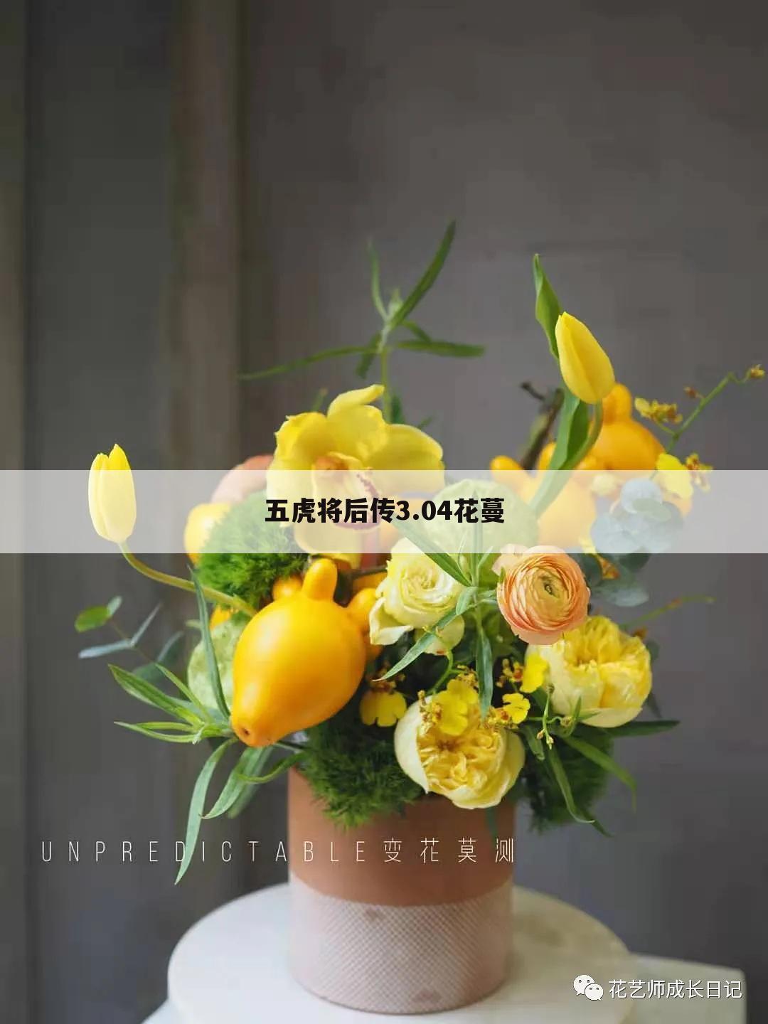 五虎将后传3.04花蔓