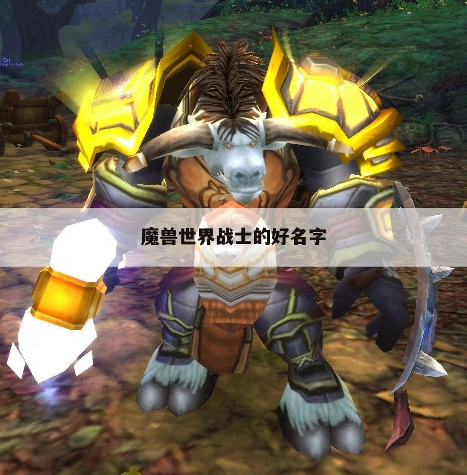 魔兽世界战士的好名字