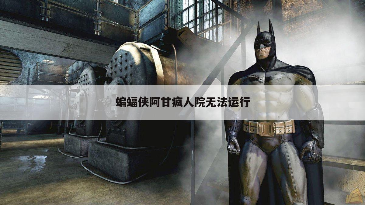 蝙蝠侠阿甘疯人院无法运行